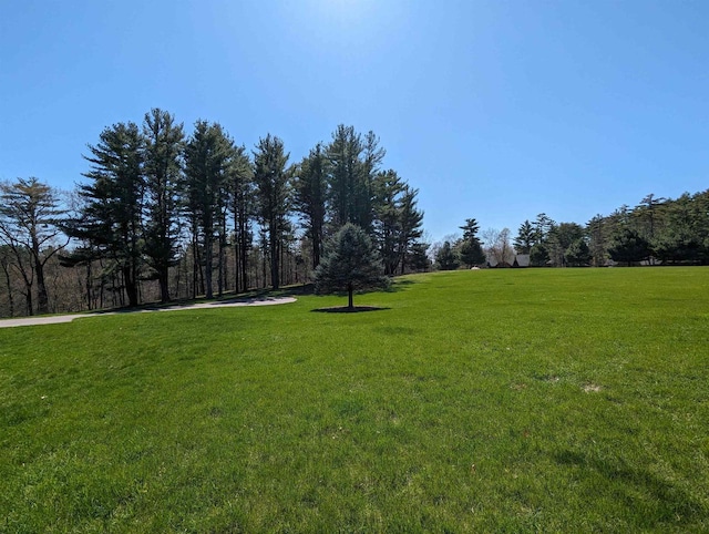 Bowman Rd, Wisconsin Dells WI, 53965 land for sale