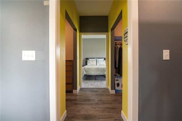 hallway with dark wood-type flooring