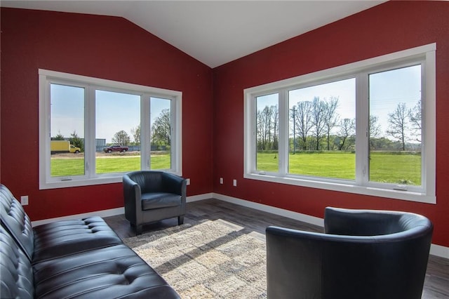 living room with dark hardwood / wood-style floors and lofted ceiling