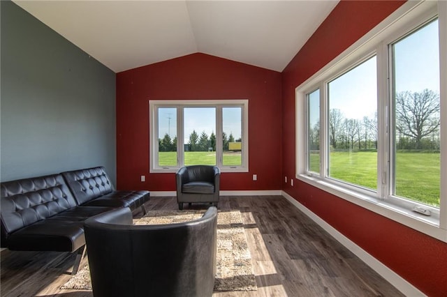 living room featuring vaulted ceiling and dark hardwood / wood-style flooring