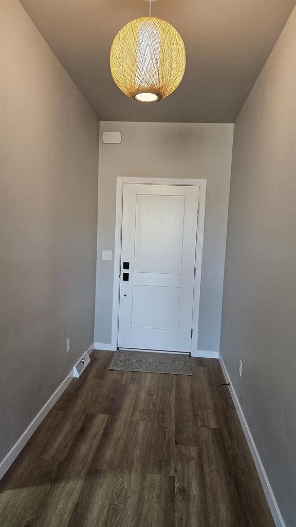 entryway featuring dark wood-type flooring