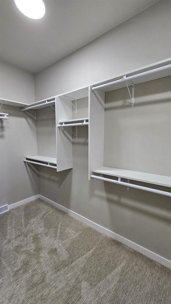 spacious closet featuring carpet flooring