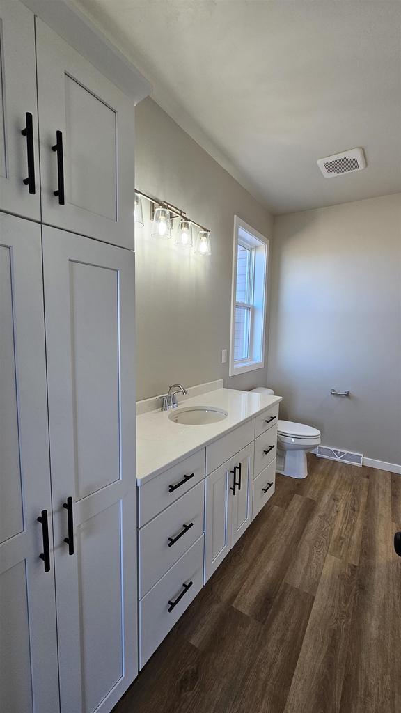 bathroom with hardwood / wood-style floors, vanity, and toilet