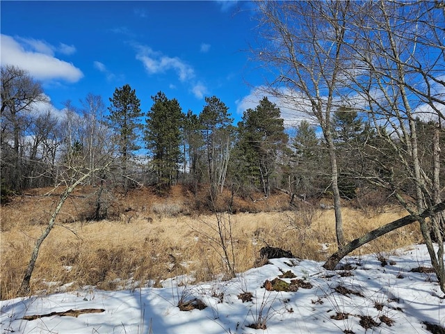 Listing photo 3 for LOT6 Twin Lake Rd, La Follette WI 54872