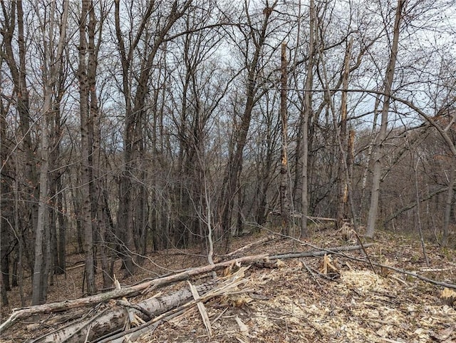 002 770th Ave, Colfax, WI 54730