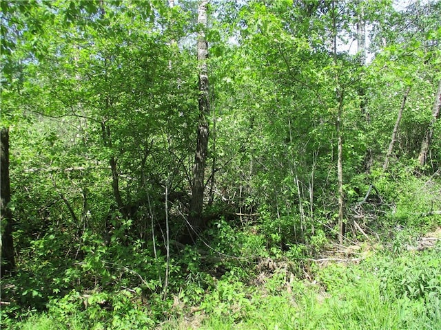 LOTS18AND19 Eden Ave, Birchwood WI, 54817 land for sale