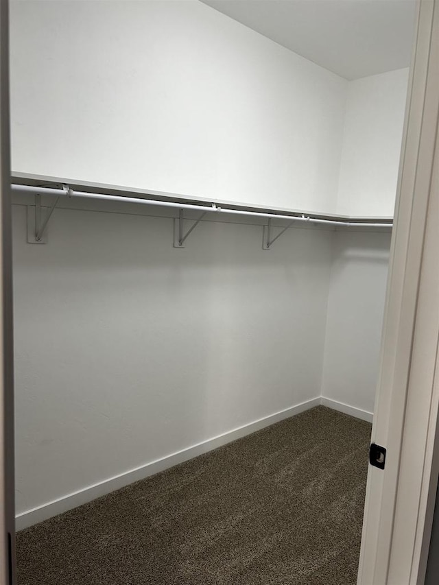 spacious closet with dark carpet