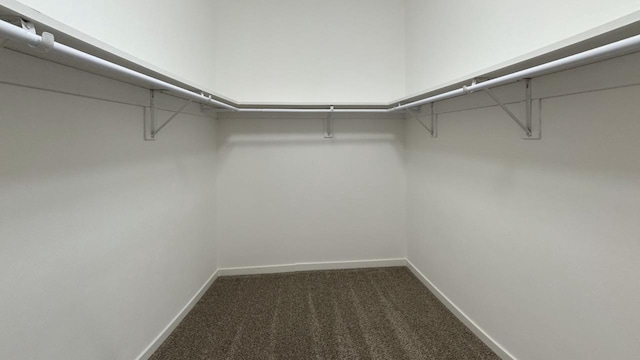 spacious closet featuring dark colored carpet