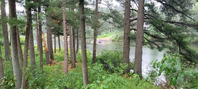 Listing photo 2 for LT5 Fly Rod Trl Unit 5, Wisconsin Rapids WI 54494