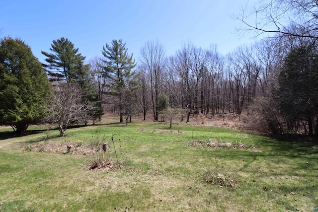 view of yard featuring a rural view