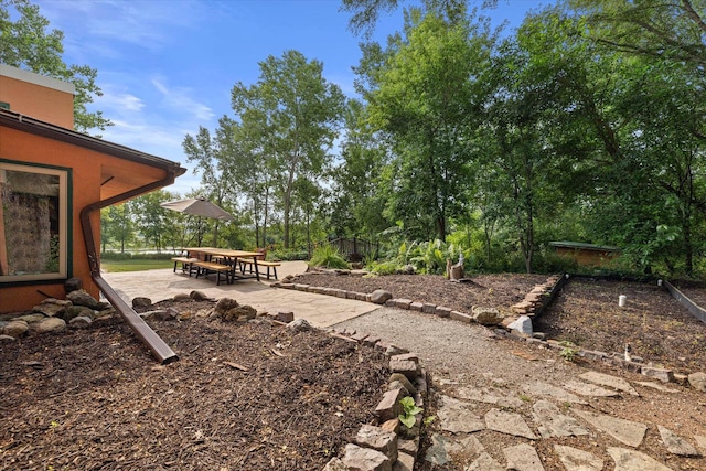 view of yard featuring a patio