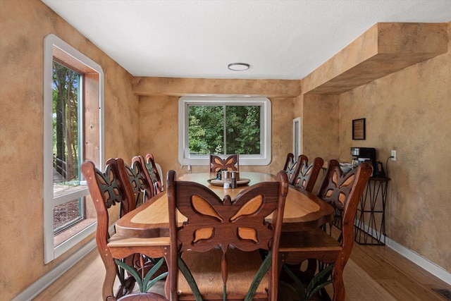 dining space with a wealth of natural light and wood-type flooring