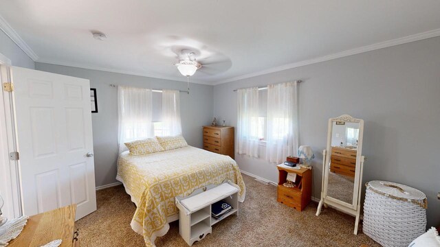 bedroom with crown molding, ceiling fan, carpet, and multiple windows