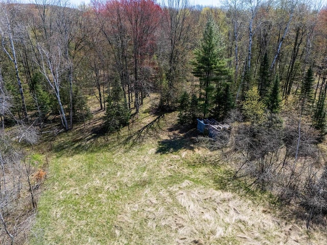 view of local wilderness