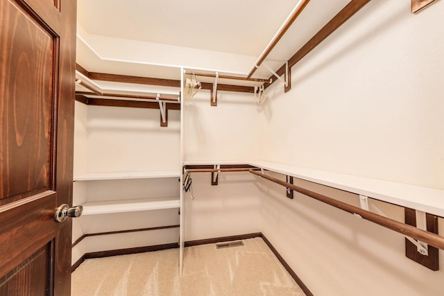 spacious closet with carpet floors