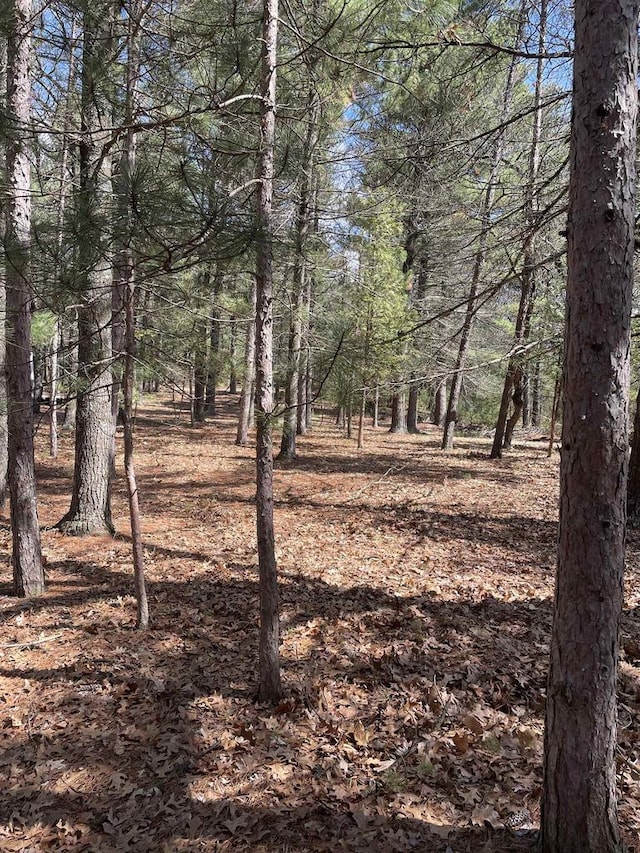 1924 Deerpath Rd, Arkdale WI, 54613 land for sale