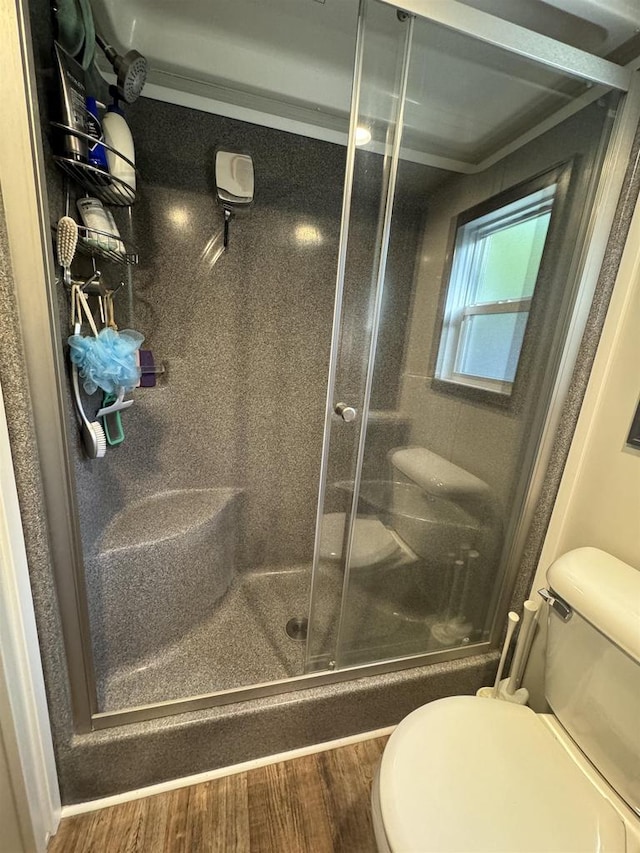 bathroom with hardwood / wood-style flooring and toilet