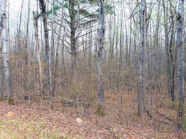 LOT1 W Nelson Lake Rd, Hayward WI, 54843 land for sale