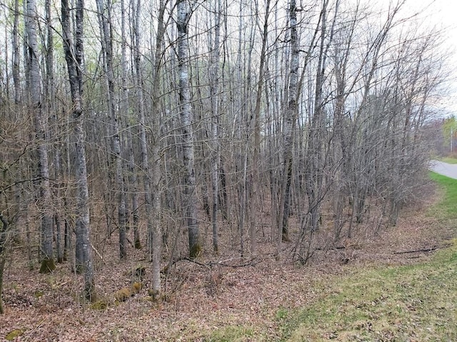 Listing photo 3 for LOT1 W Nelson Lake Rd, Hayward WI 54843