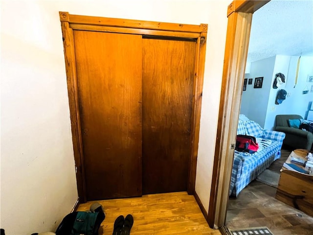 interior space with wood-type flooring