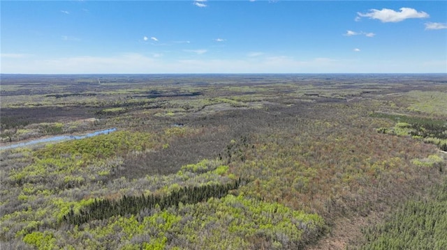 Listing photo 3 for 80ACRES County Road M, Jump River WI 54433