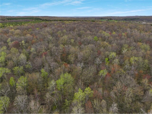 LOT3 11th Ave, Chetek, WI 54728