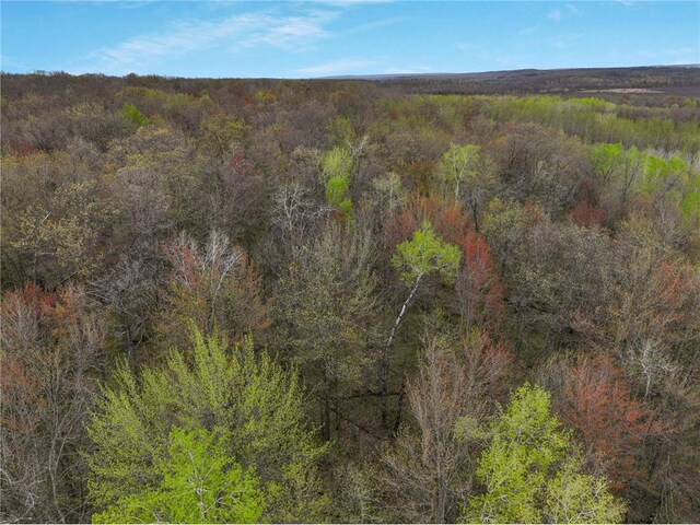 LOT3 11th Ave, Chetek, WI 54728