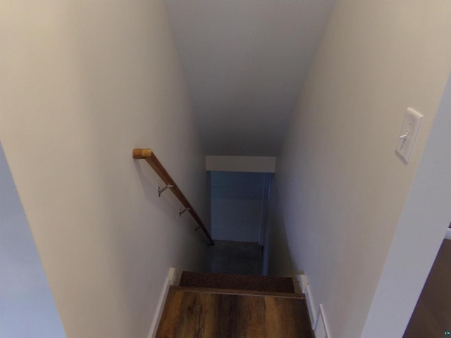 staircase with hardwood / wood-style flooring