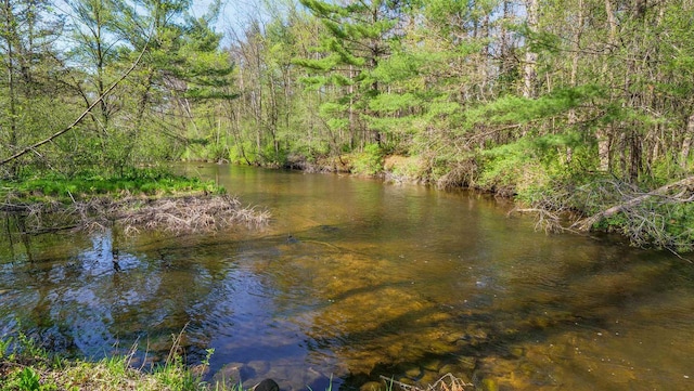 view of water feature