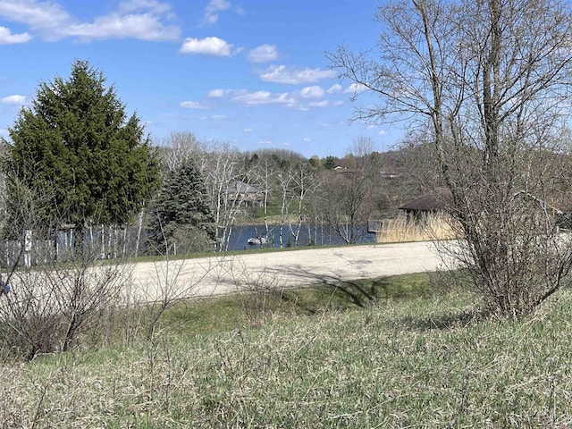 Listing photo 3 for L223ALPINE Black Forest Dr, La Valle WI 53941