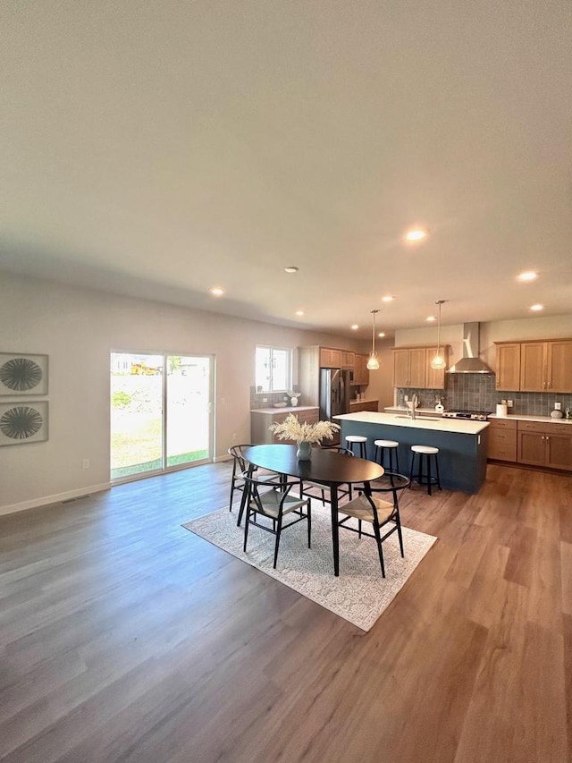 dining area featuring sink and hardwood / wood-style floors