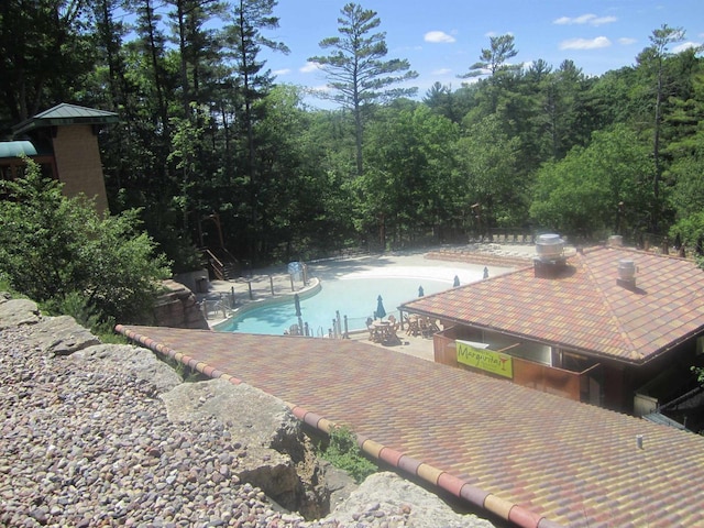 view of pool featuring a patio area