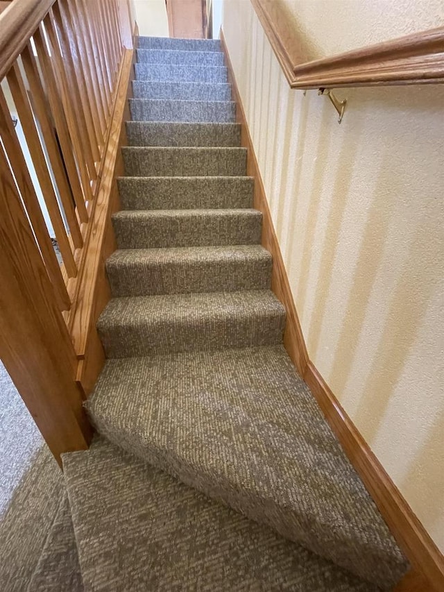 stairway featuring carpet floors