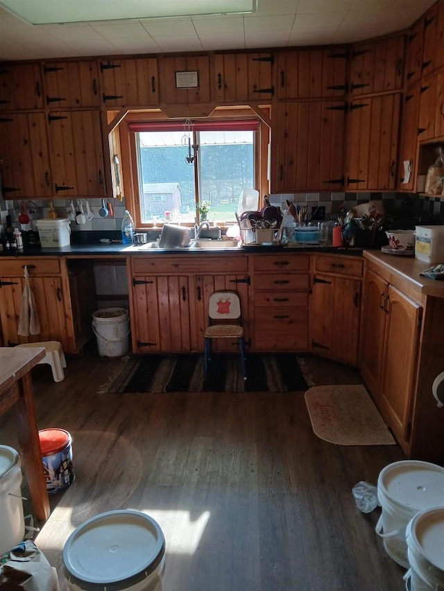 kitchen featuring sink, decorative backsplash, and dark hardwood / wood-style flooring