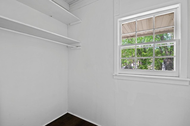 spacious closet with dark hardwood / wood-style floors