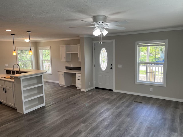 409 S Linden St, Adams, WI 53910 - entryway featuring dark wood-type flooring, plenty of natural light, ceiling fan, and crown molding