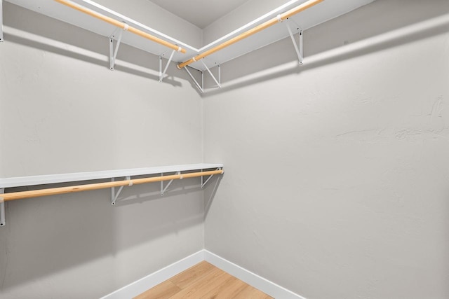 walk in closet with hardwood / wood-style floors