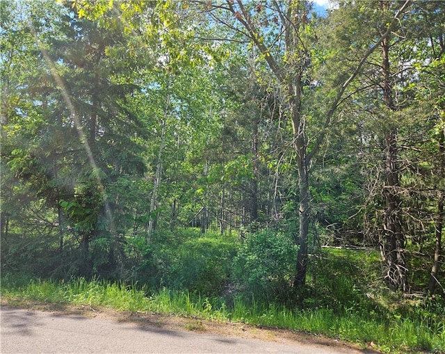 000 Lakewood Blvd, Ladysmith WI, 54848 land for sale