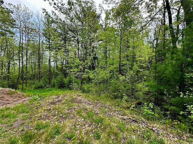 15433 State Highway 178, Jim Falls WI, 54748 land for sale