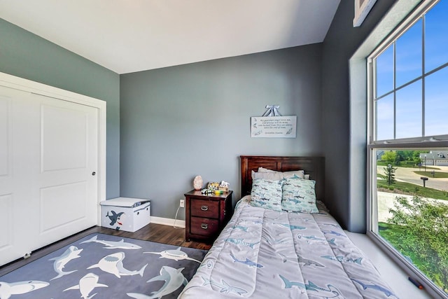 bedroom with hardwood / wood-style floors and a closet