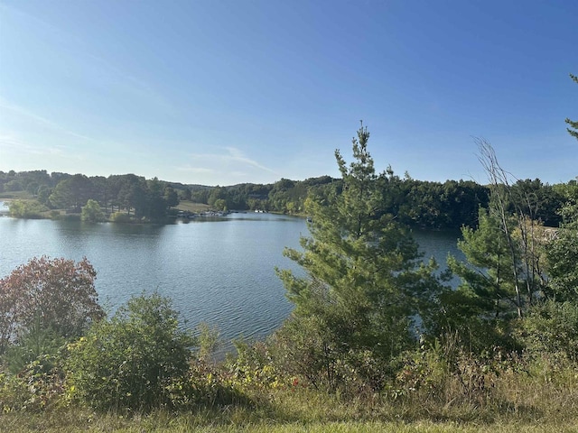 2919 Gatling Ct, La Valle, WI 53941
