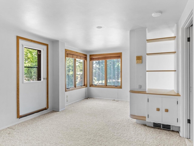 unfurnished living room with light carpet