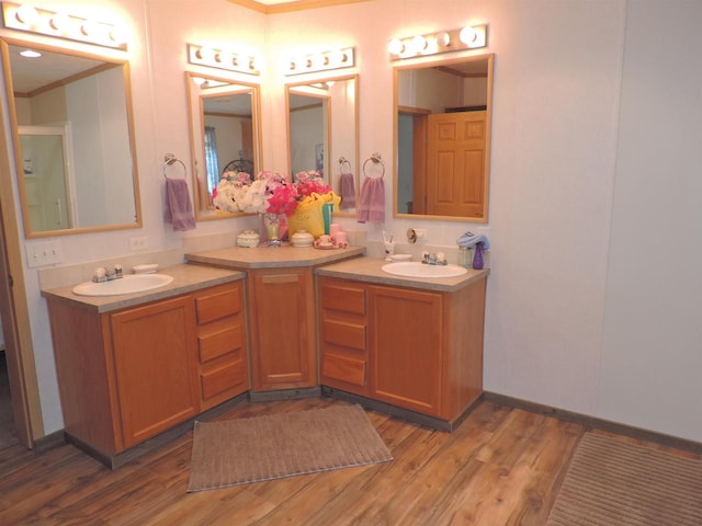 bathroom with dual bowl vanity and wood-type flooring