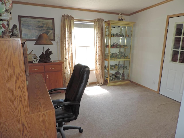 carpeted office featuring ornamental molding