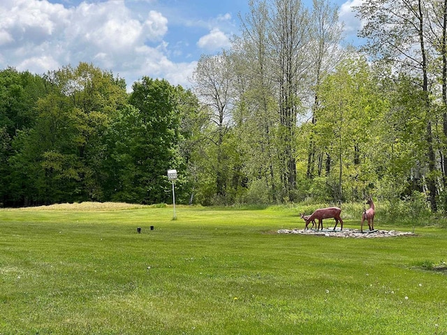 view of home's community with a lawn