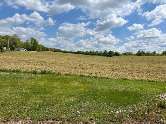 view of nature featuring a rural view