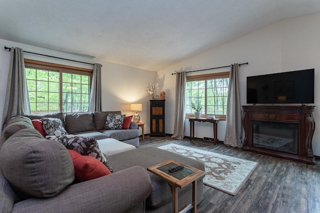 living room featuring vaulted ceiling and dark hardwood / wood-style flooring