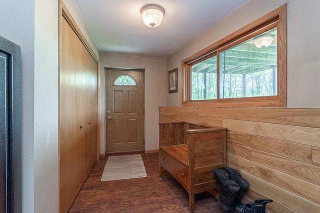 doorway to outside featuring dark wood-type flooring