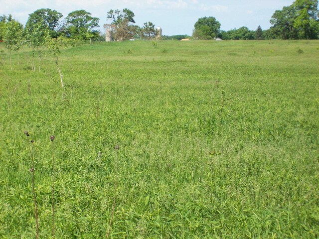 Listing photo 3 for LOT12 Fandrich St, Oxford WI 53952