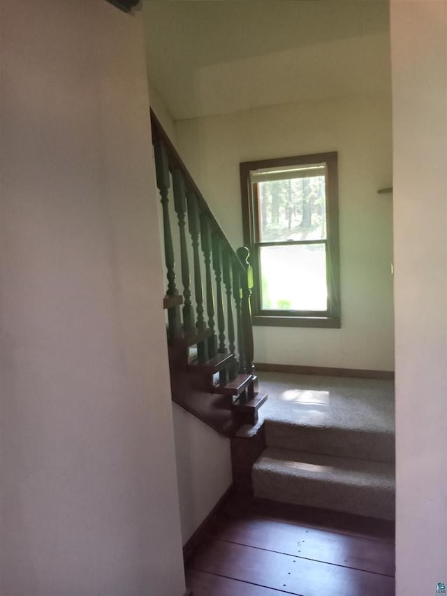 stairway featuring hardwood / wood-style flooring